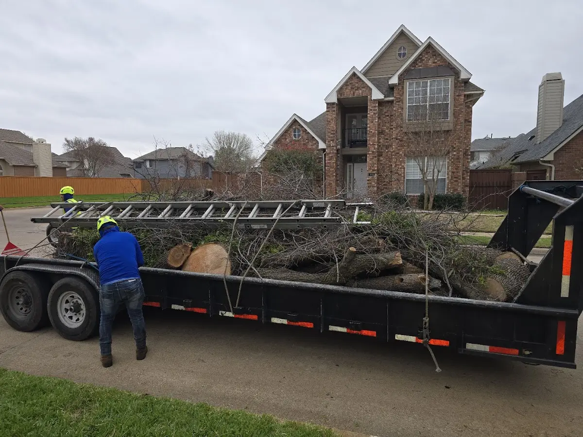 Expert Lot Clearing with proper safety equipment in Norton